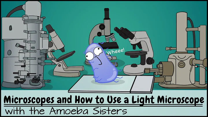 Microscopes and How to Use a Light Microscope - DayDayNews