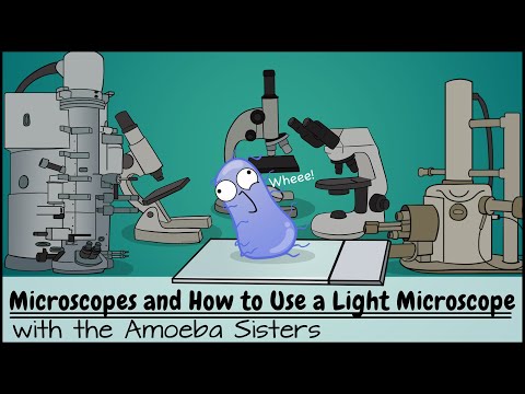 Video: Unde se folosește un microscop cu lumină?