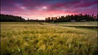 chemtrails over the country club - lana del rey (echo) Best version