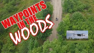 Waypoints In The Woods