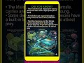 Male seahorse not give birth? #shorts #facts #mystery #didyouknow #unknownfacts