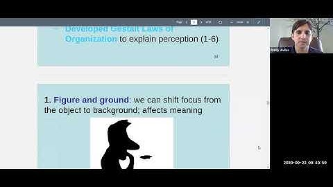 Psychology 101 Chapter 5 (Sensation & Perception) Lecture Part 2