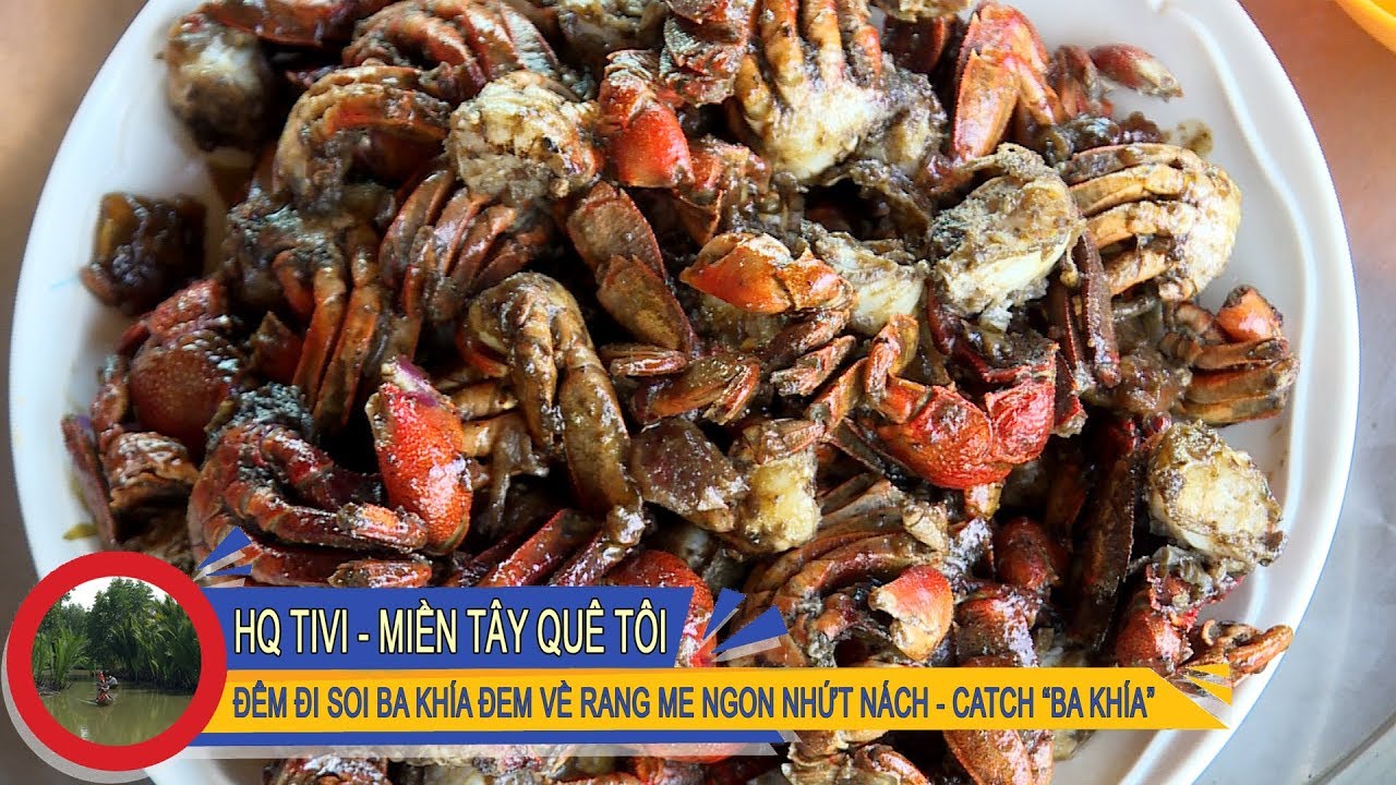 Miền Tây Quê Tôi Tập 18 - Đêm đi soi ba khía đem về rang me ăn ngon ...