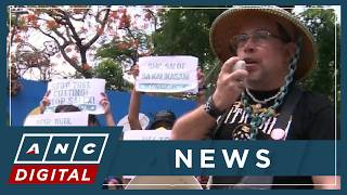 'Environmental injustice': Groups denounce massive clearing of trees along Quirino avenue | ANC