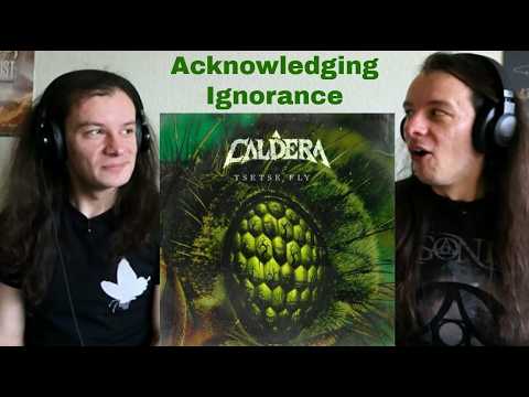 (REACTION) Caldera feat. Zoranaism - Tsetse Fly
