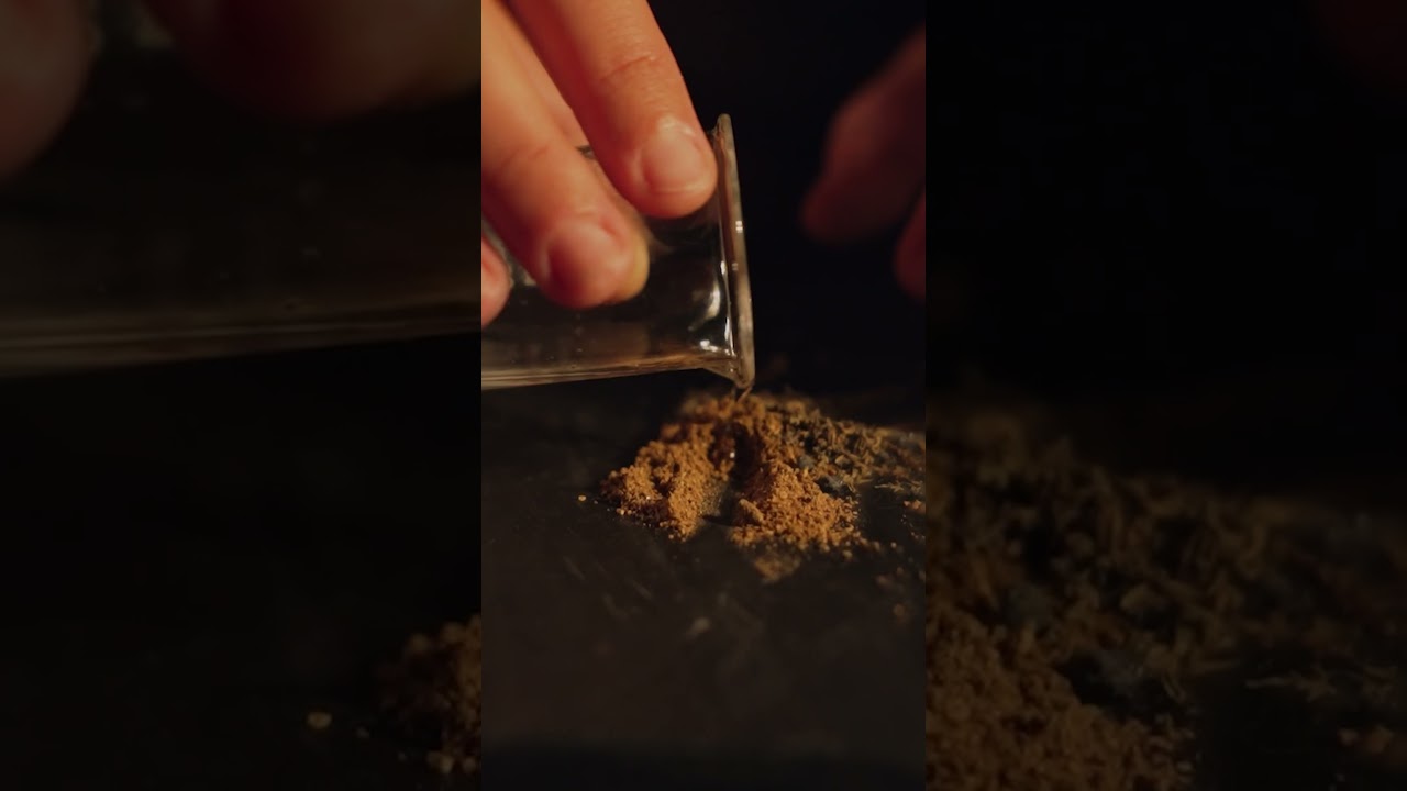 Relaxing Video | Nature-Inspired Calming Content