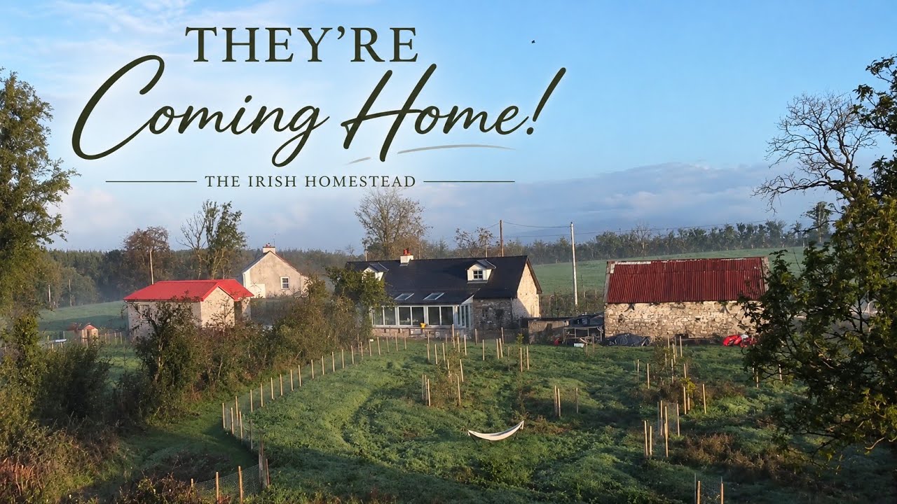 THEY’RE COMING HOME!