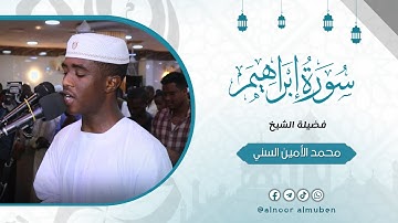 عشائية مميزة | ما تيسر من سورة إبراهيم | الشيخ محمد الأمين السني 