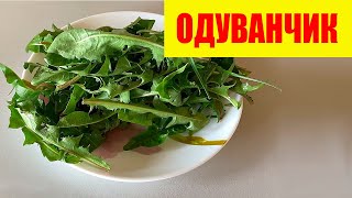 Dandelion Salad Will Renew Your Liver and Protect You