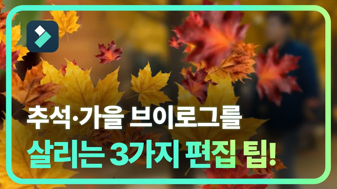 단풍 여행·추석 브이로그 편집 고민 끝! 필모라 필수 편집 꿀팁 총정리 | 필모라15 Wondershare Filmora