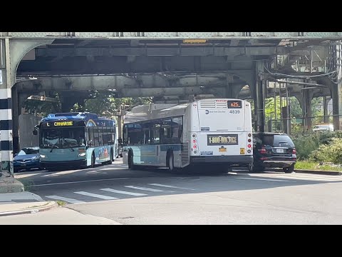 Mta Bus Time Q56