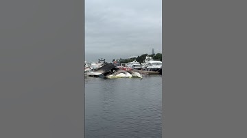 Утонувшую яхту разворачивает #спб #историясанктпетербурга #санктпетербург