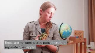 Can Your Property Manager Deny You a Pet Here Is What Renters Need to Know