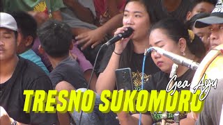 TRESNO SUKOMORO lagu jaranan Voc GEA AYU Jaranan New SURYO WIJOYO Live Tembelang.