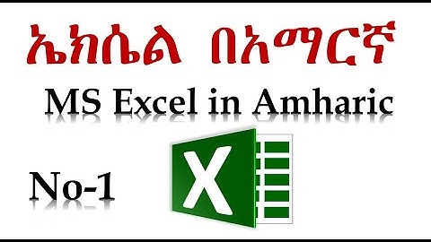 1  Microsoft Excel Basic Data Insertion or data intery Ethio LiQ