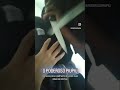 Cracudos filhos do Lula, que roubam pedestres na zona Sul, ameaçando o repórter: Poderoso piu-piu.