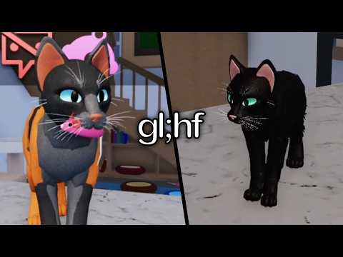 meow meow kitty kitty