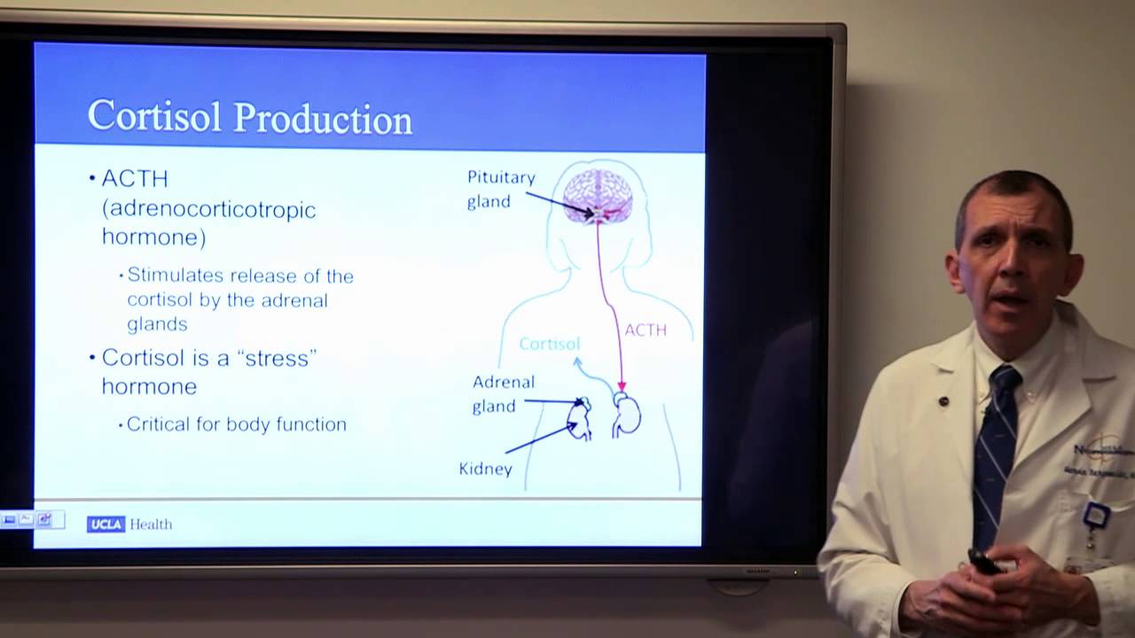 an introduction to the problem of blindsight in patients with pituitary tumors Introduction to brain surgery secreting cells of the pituitary gland patients with this problem develop fat deposits in strange surgery on pituitary tumors. an introduction to the problem of blindsight in patients with pituitary tumors Introduction to brain surgery secreting cells of the pituitary gland patients with this problem develop fat deposits in strange surgery on pituitary tumors.