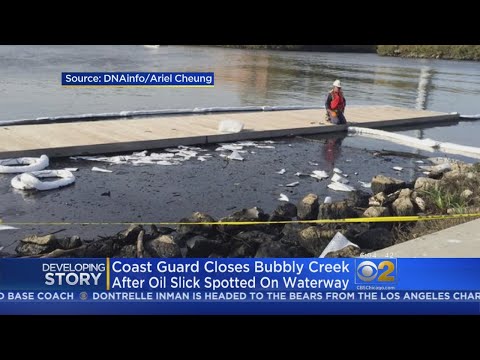 Chicago Oil Spill: Breaking News Updates
