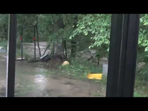 It has come a Flood at PawPaw's House Perfect time for a Happy Hemp Gummy Bear !