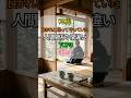 🌸70代、良かれと思ってやっていた人間関係の間違い TOP3 ✨