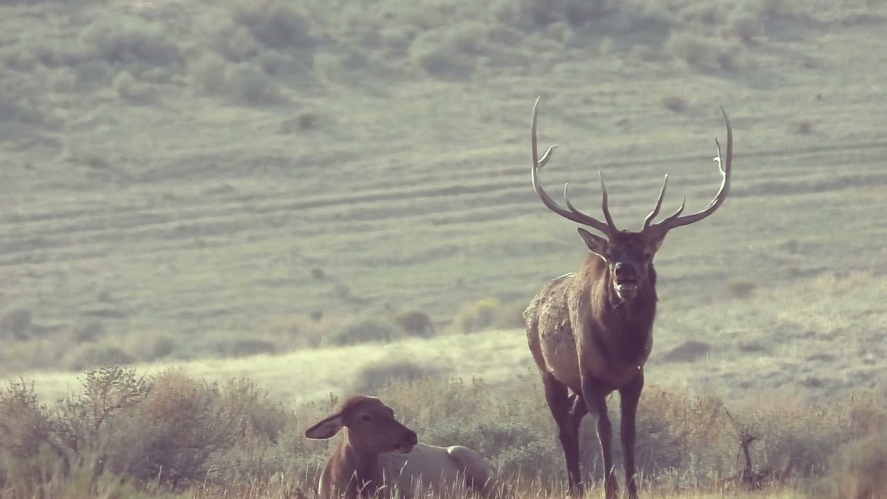 Colorado GMU Unit 72 Hunting Information