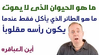 معلومات عن الحيوانات _10 الغاز ومعلومات عامه لن يحلها الا  الأزكياء_حيولن لا يتزوج اذا ماتت زوجته