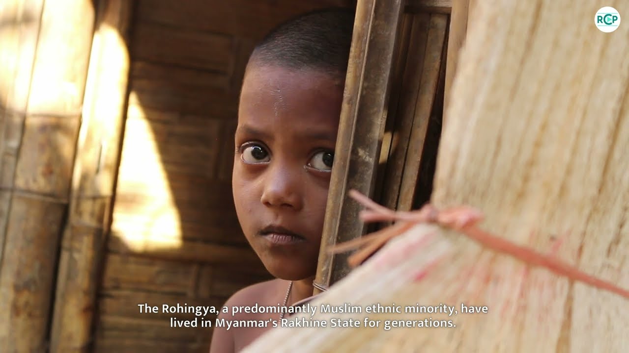Black Day For Rohingya | 25th August |  A  Mini Documentary