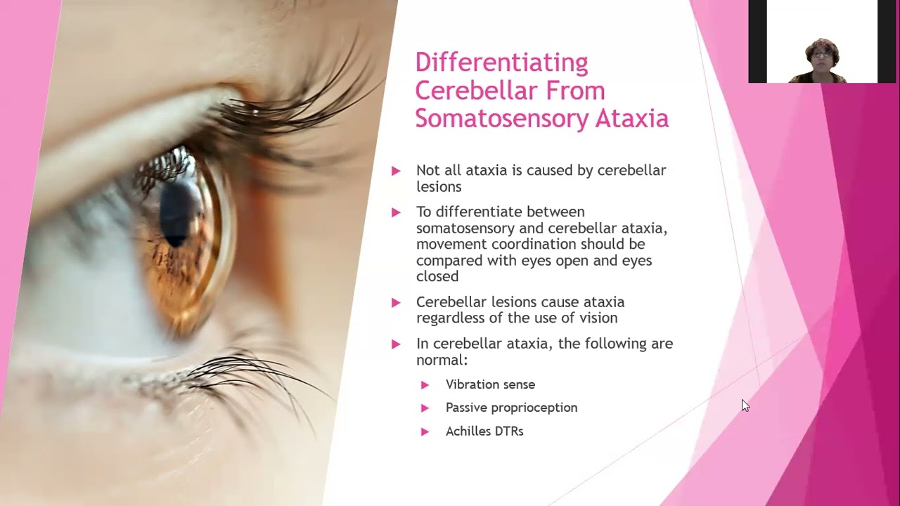 Cerebellum Chapter 15