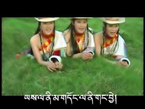 Tibetan Song   Kongpo Song Drechang Karpo