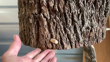 Axe block improvement