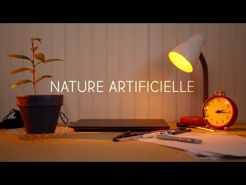 Nature Artificielle (Concours CROUS 2024)