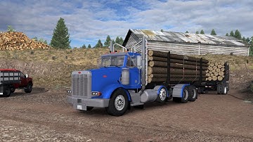 ATS: Project 3XX Logging in Mexico