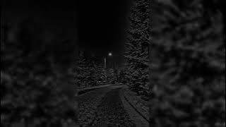 Daydream - Günter Kallmann choir