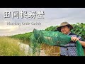 The Poor Boy’s Peaceful Morning: Crab Catching & Village Lunch by the Stream