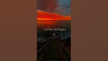 أكتب شيء تؤجر عليه #قرآن #قران_كريم #quran #اكتب_شي_تؤجر_عليه #تلاوة_خاشعة #القرآن_الكريم