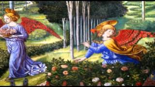 S.Mandelker PhD: The Law of One, Session 51 (1)