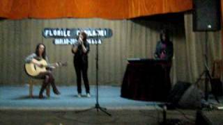 Fara Aripi - 9 Crimes Cover Casa Armatei