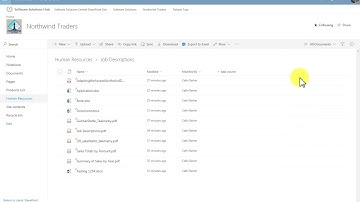 Video 11 Microsoft SharePoint Activity