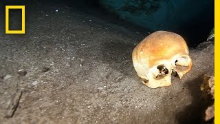 Skulls Found in 