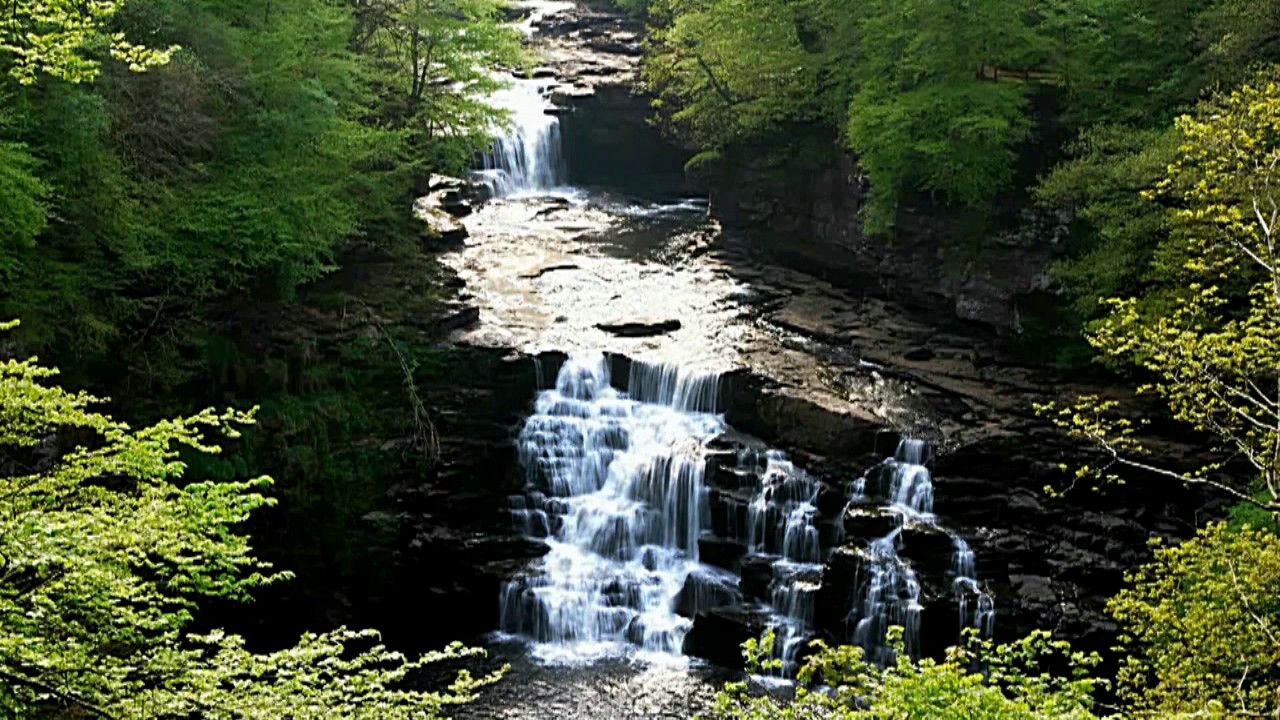 prosperity bank routing number Positive Thinking Subliminal Visualization Video & Mind Movies