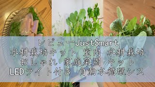 レビューJustSmart 水耕栽培キット 室内 水耕栽培 おしゃれ 家庭菜園 キット LEDライト付き 自動水循環システム搭載 高さ調節可能 IGS-20SE ブラック