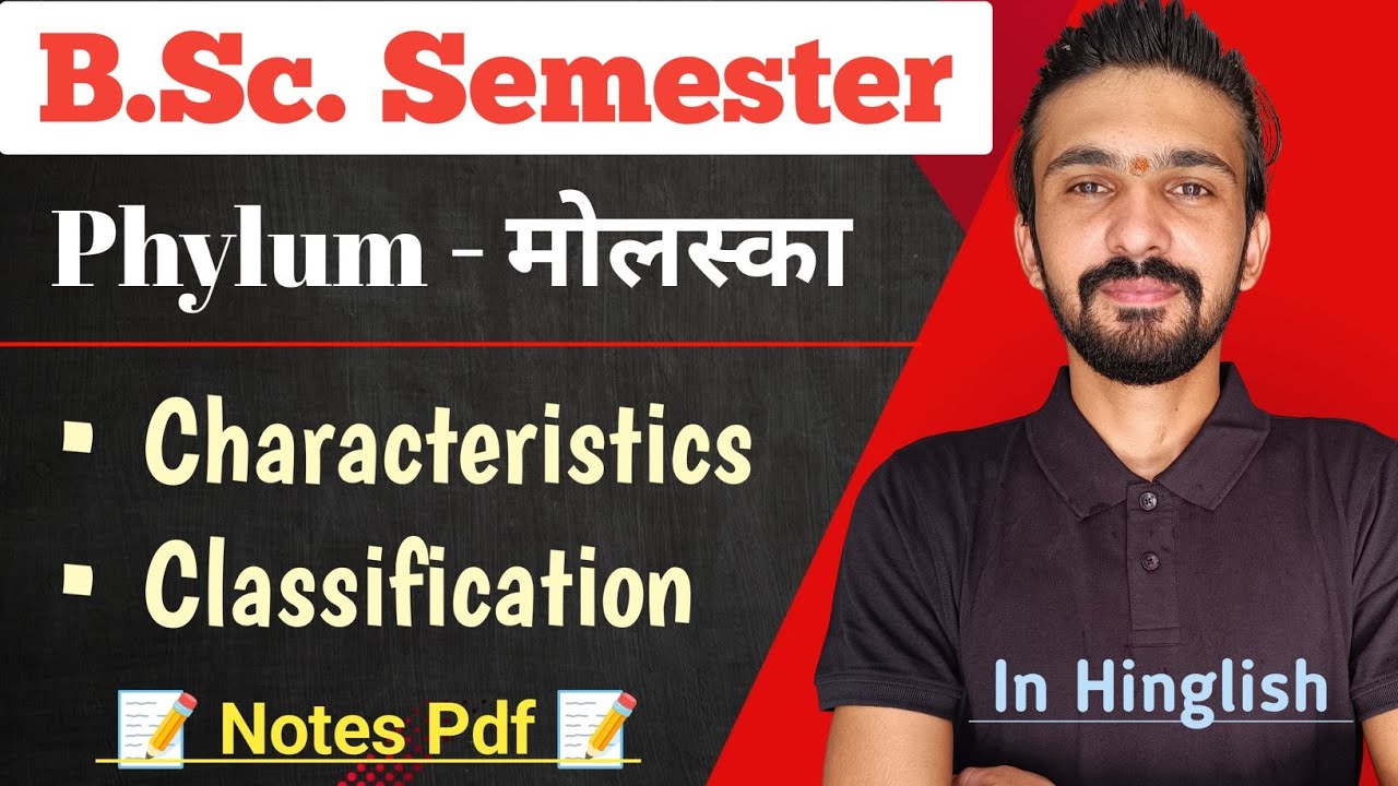 Mollusca Classification & Characteristics || Phylum - Mollusca || Bsc Semester || By Dadhich Sir