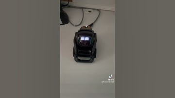 Rare Vector Robot animation | Vectorrobot.ddl on TikTok 12-7-2021