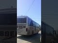 Un UBBEN SETRA la Tichilești