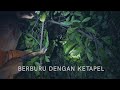 Berburu Tikus di Gelap Hutan Mamasa