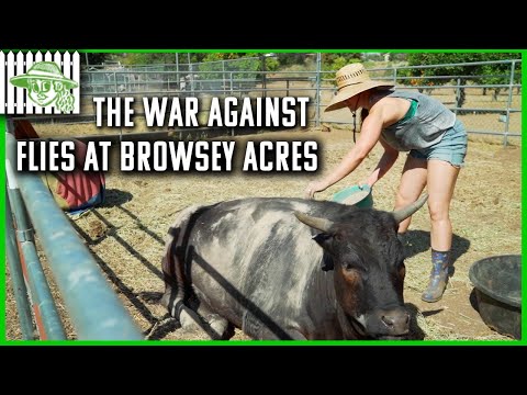 Ronda Rousey Battles Flies on the Farm | Browsey Acres