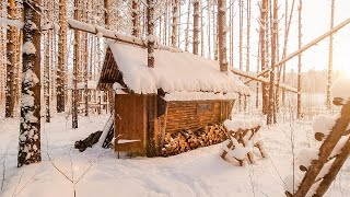 Built a log cabin in the wild forest. Six months in 20 minutes. From start to finish. Short version.