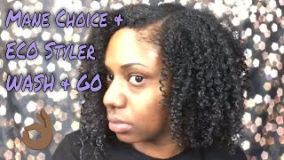 [NEW] WASH &amp; GO COMBO: Mane Choice Tropical Moringa Braid Out Glaze &amp; Eco Styler Gel😬DON&#39;T FLAKE!