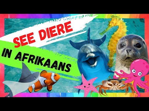 Afrikaanse kinder Video - Seediere Feite vir kinders - In Afrikaans